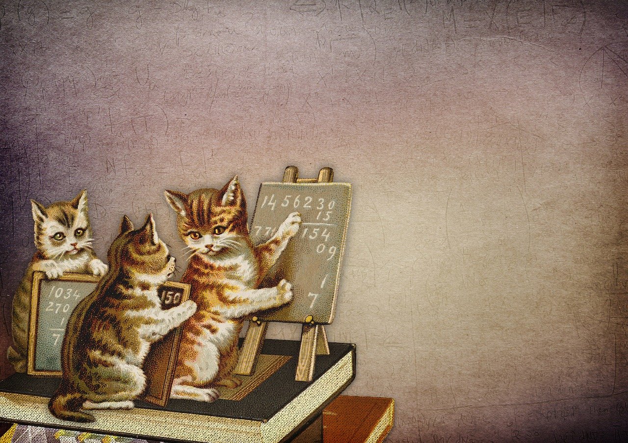 猫腻最新书，探寻奇幻世界的无限魅力之旅