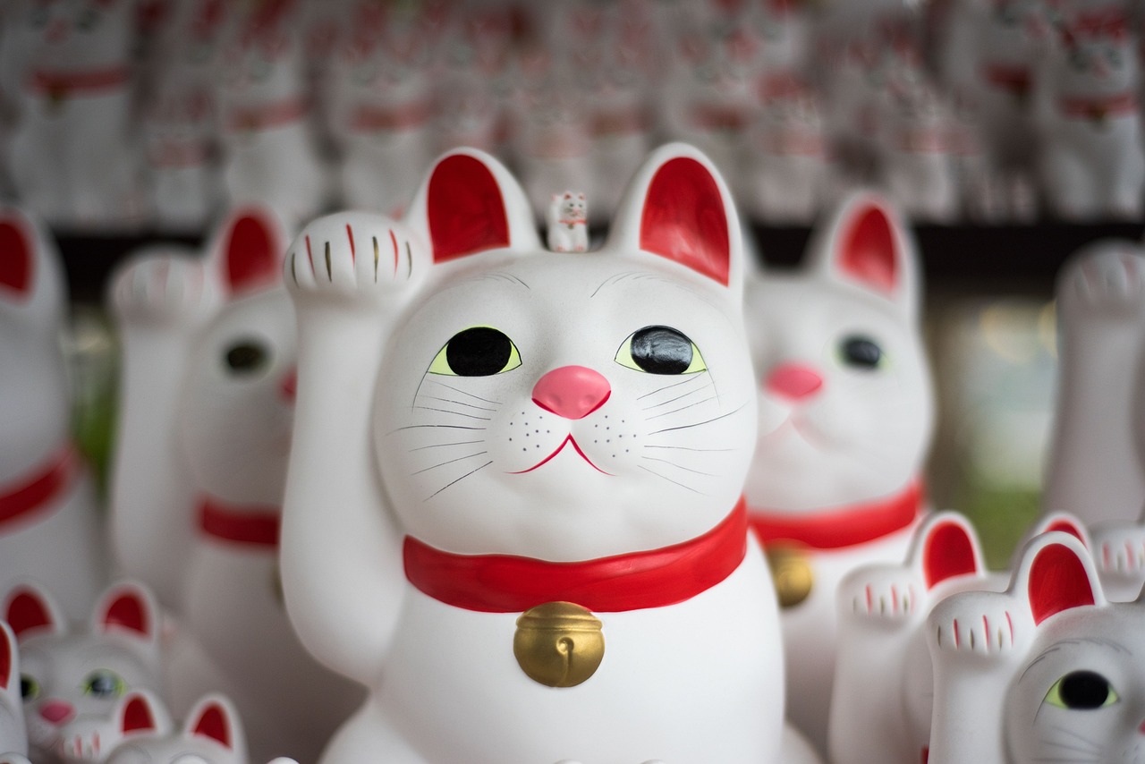 罗湖最新动态，城市更新带动经济发展与生活品质提升