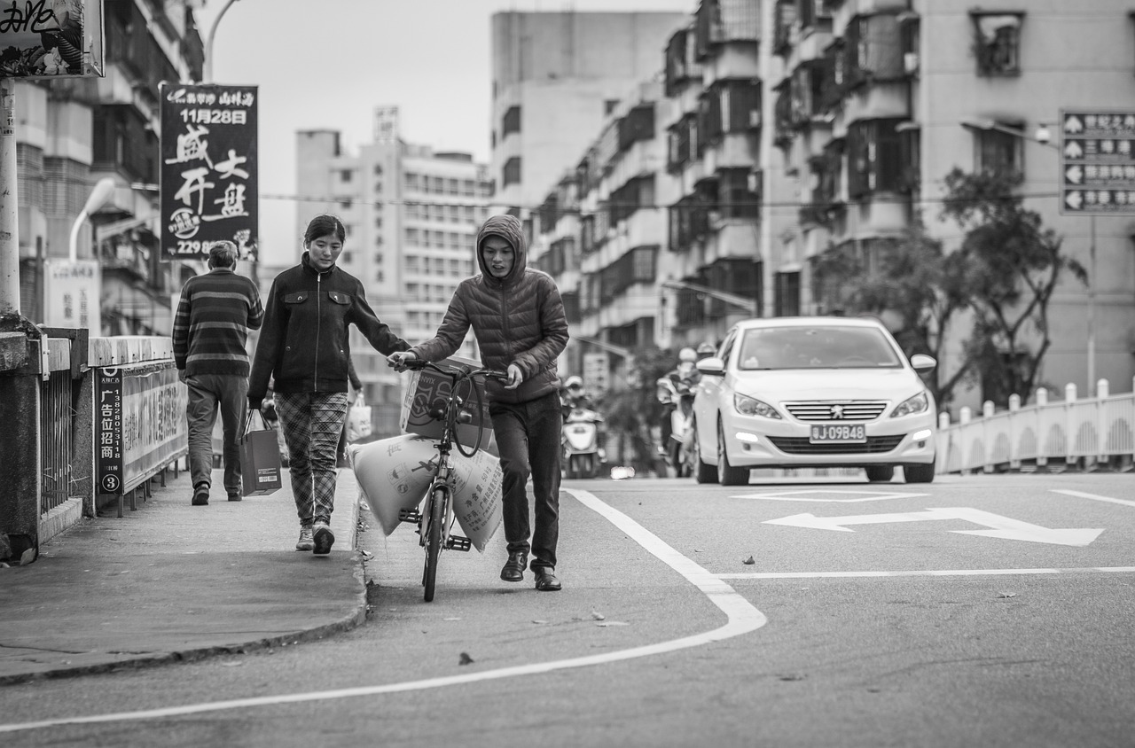 昌乐最新新闻综述，城市新动态与生活点滴报道