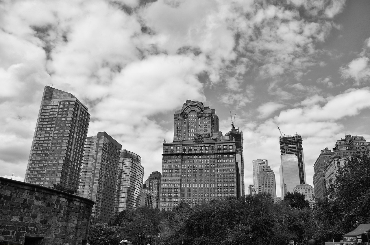 大夏王侯，历史传承与现代解读最新分析